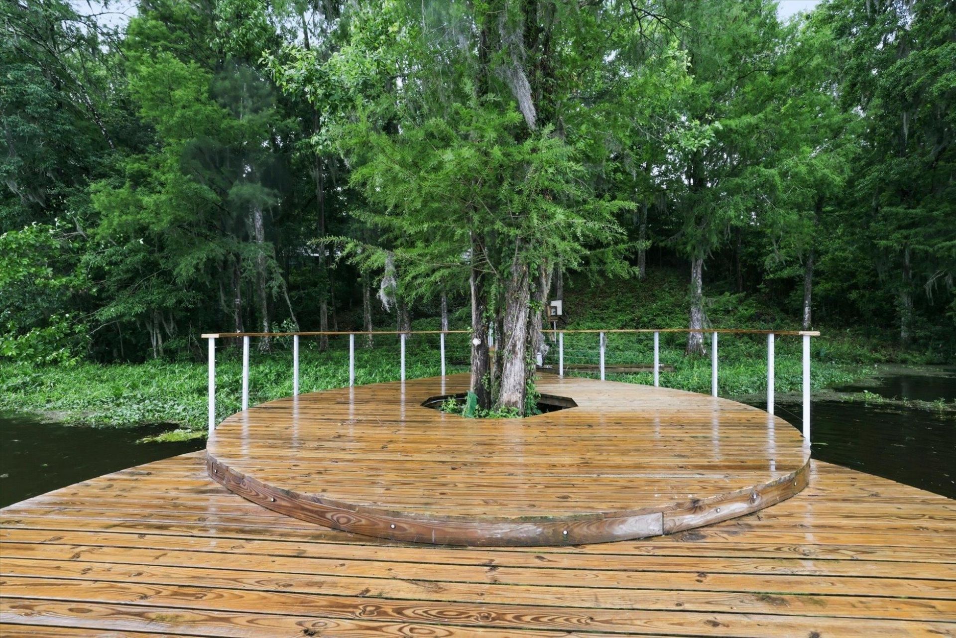 1136 Coe Landing Road , Tallahassee, FL 32310 Photo