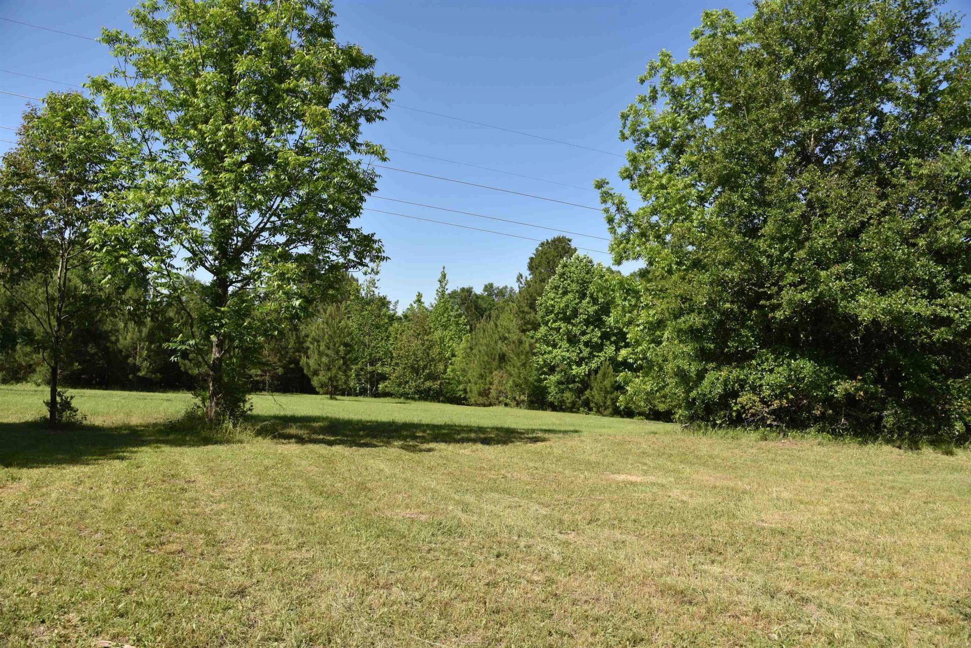 Solomon Dairy Road, Quincy, FL 32352 Photo