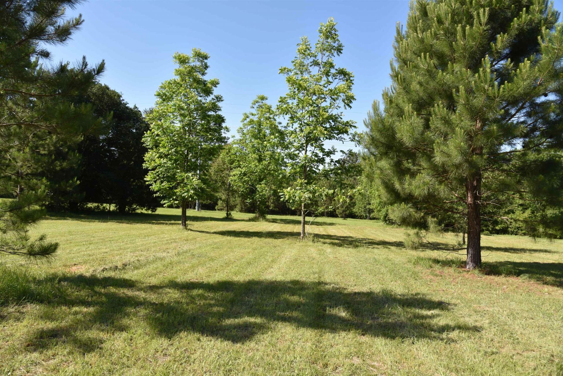 Solomon Dairy Road , Quincy, FL 32352 Photo