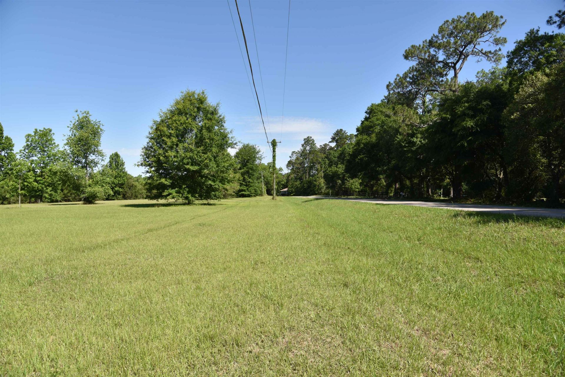 Solomon Dairy Road, Quincy, FL 32352 Photo