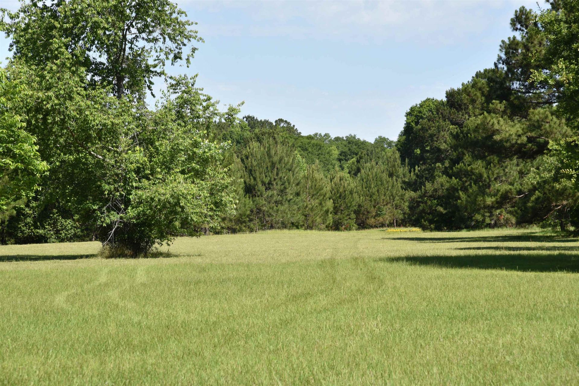 Solomon Dairy Road , Quincy, FL 32352 Photo