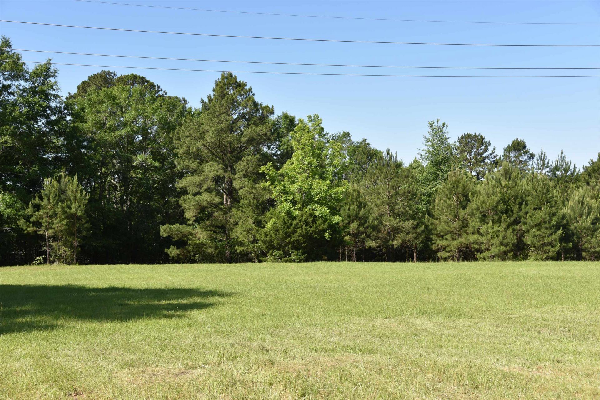 Solomon Dairy Road , Quincy, FL 32352 Photo