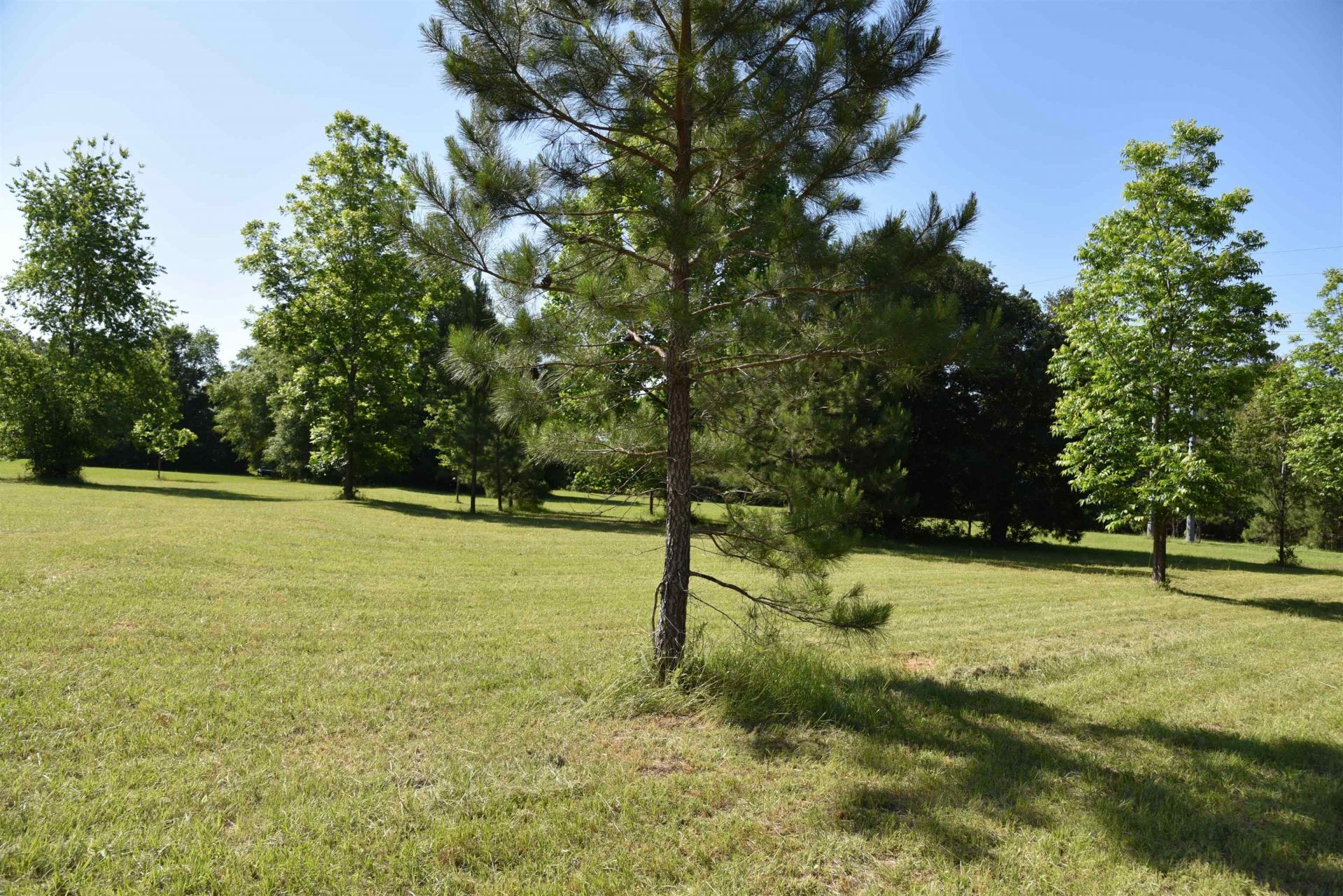 Solomon Dairy Road, Quincy, FL 32352 Photo