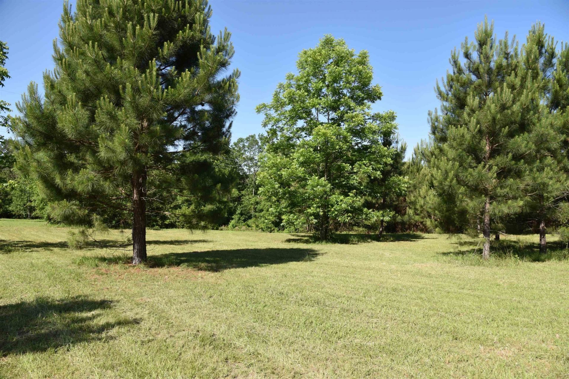 Solomon Dairy Road, Quincy, FL 32352 Photo