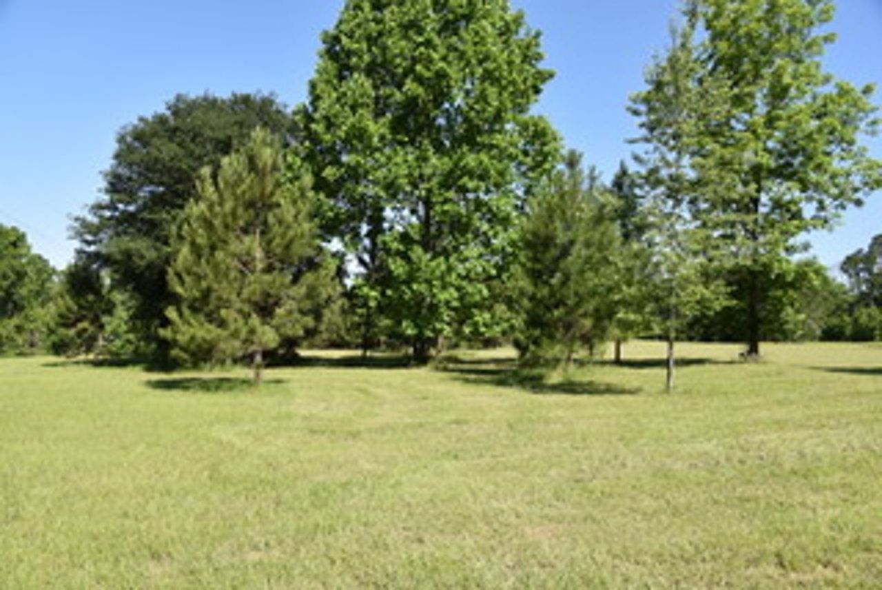 Solomon Dairy Road, Quincy, FL 32352 Photo