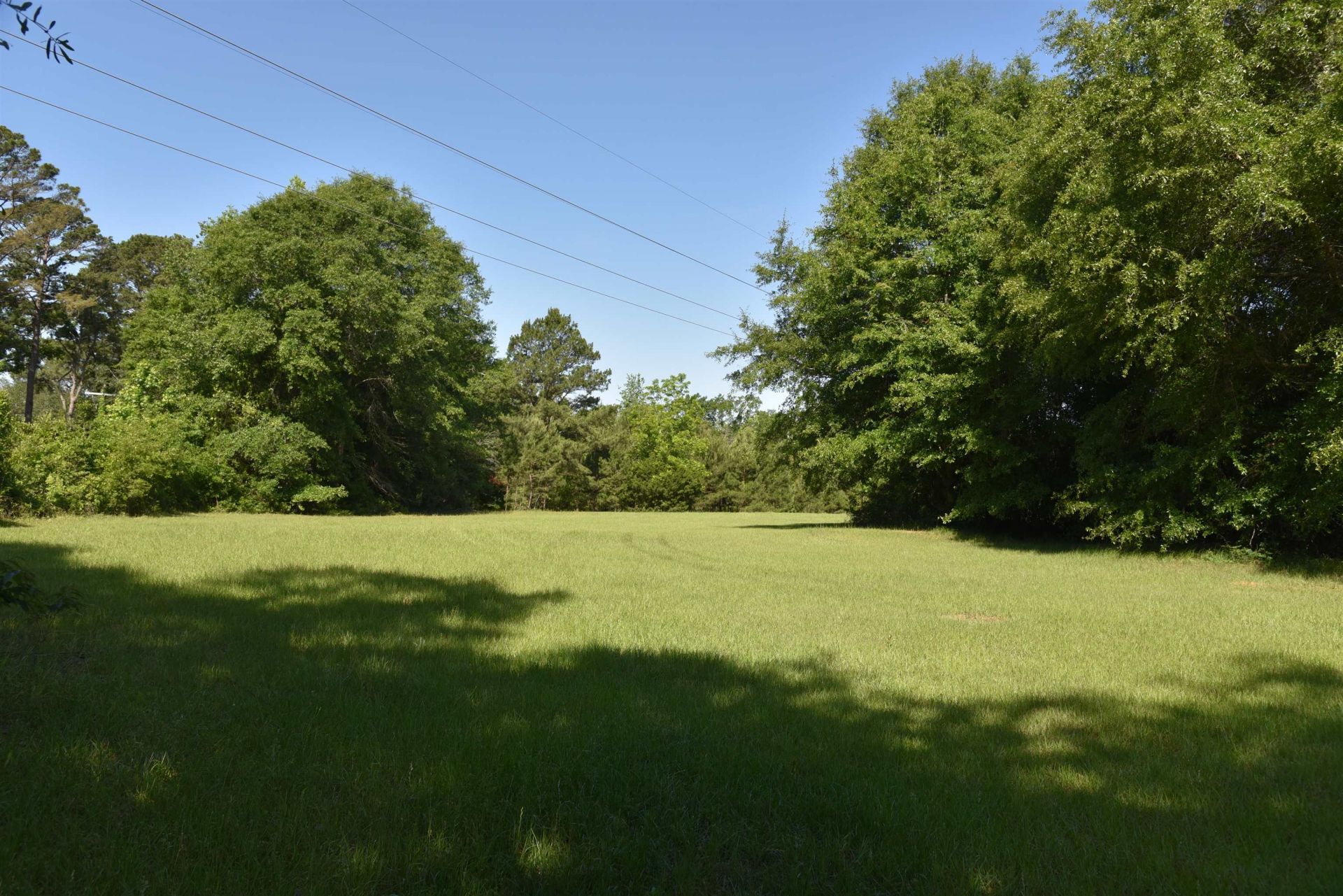 Solomon Dairy Road , Quincy, FL 32352 Photo