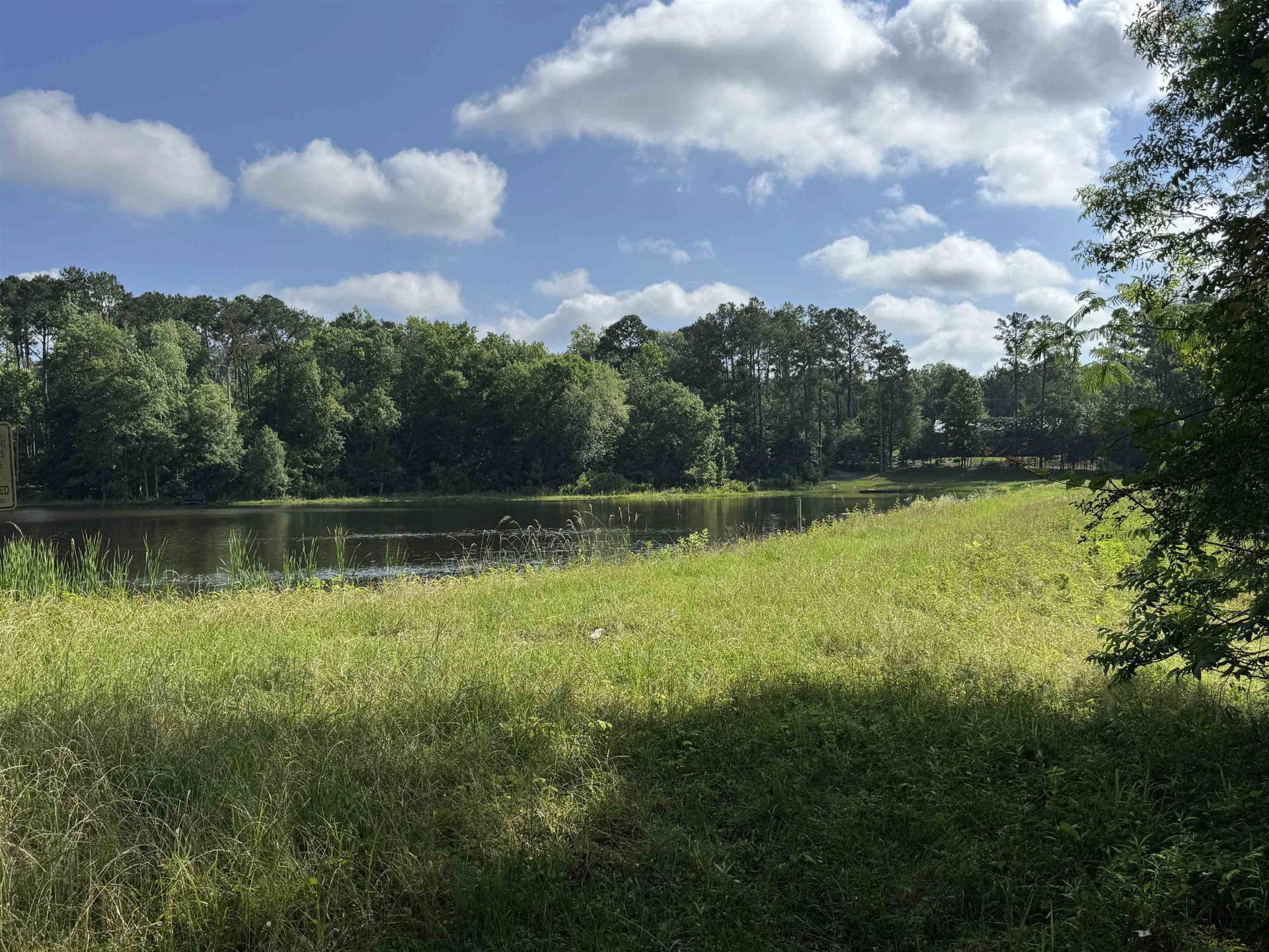 Solomon Dairy Road, Quincy, FL 32352 Photo
