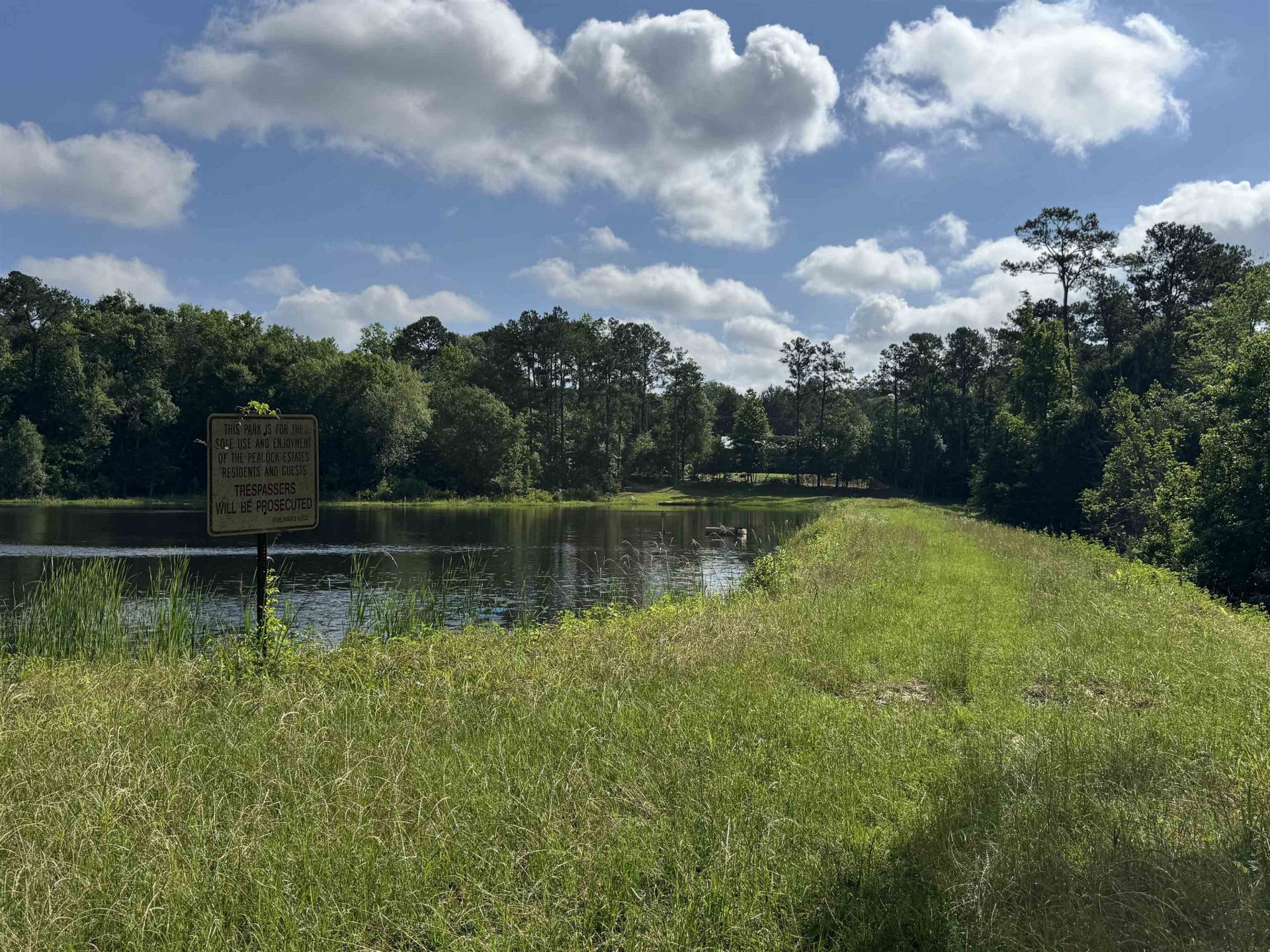 Solomon Dairy Road, Quincy, FL 32352 Photo