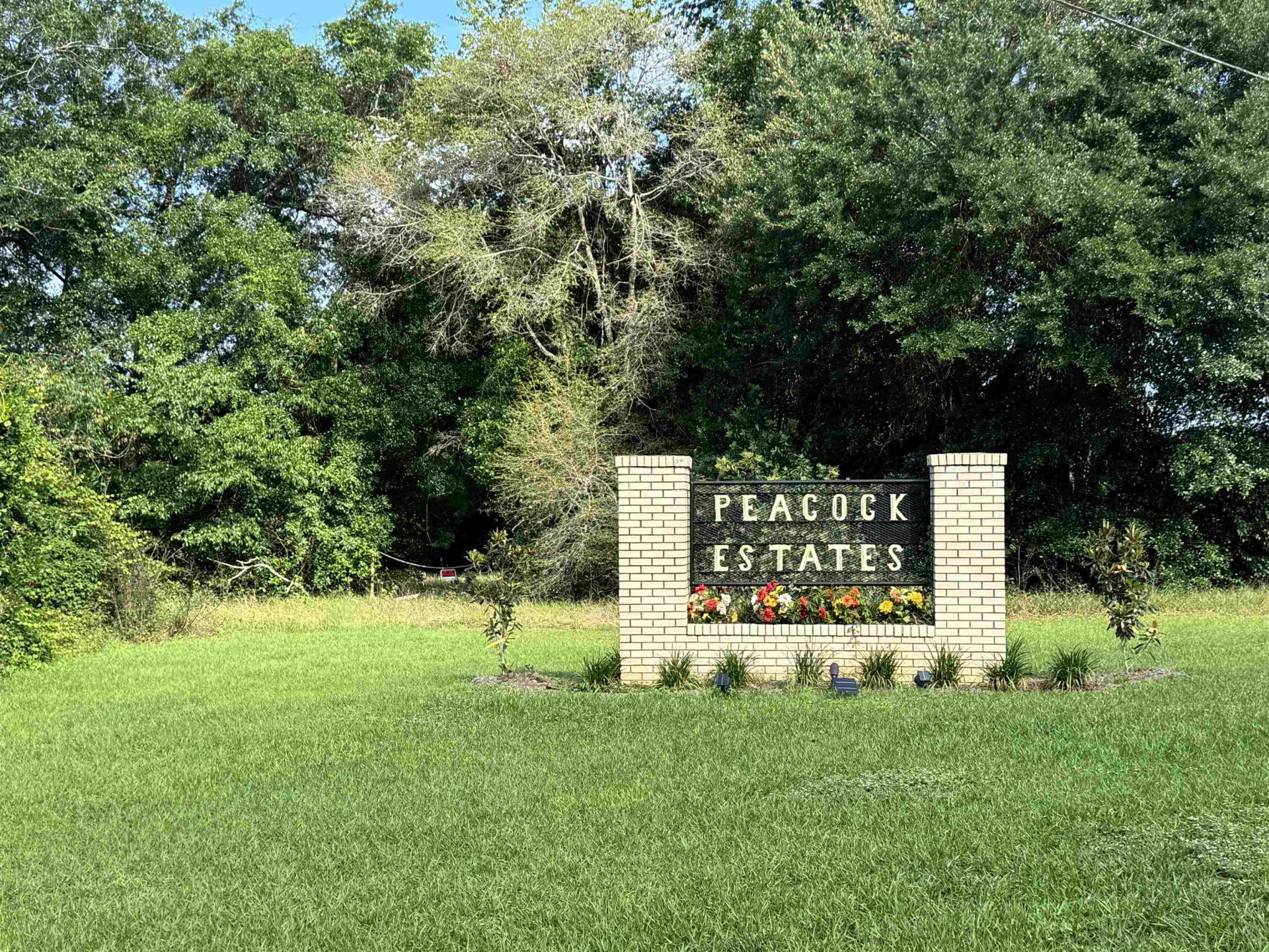 Solomon Dairy Road, Quincy, FL 32352 Photo