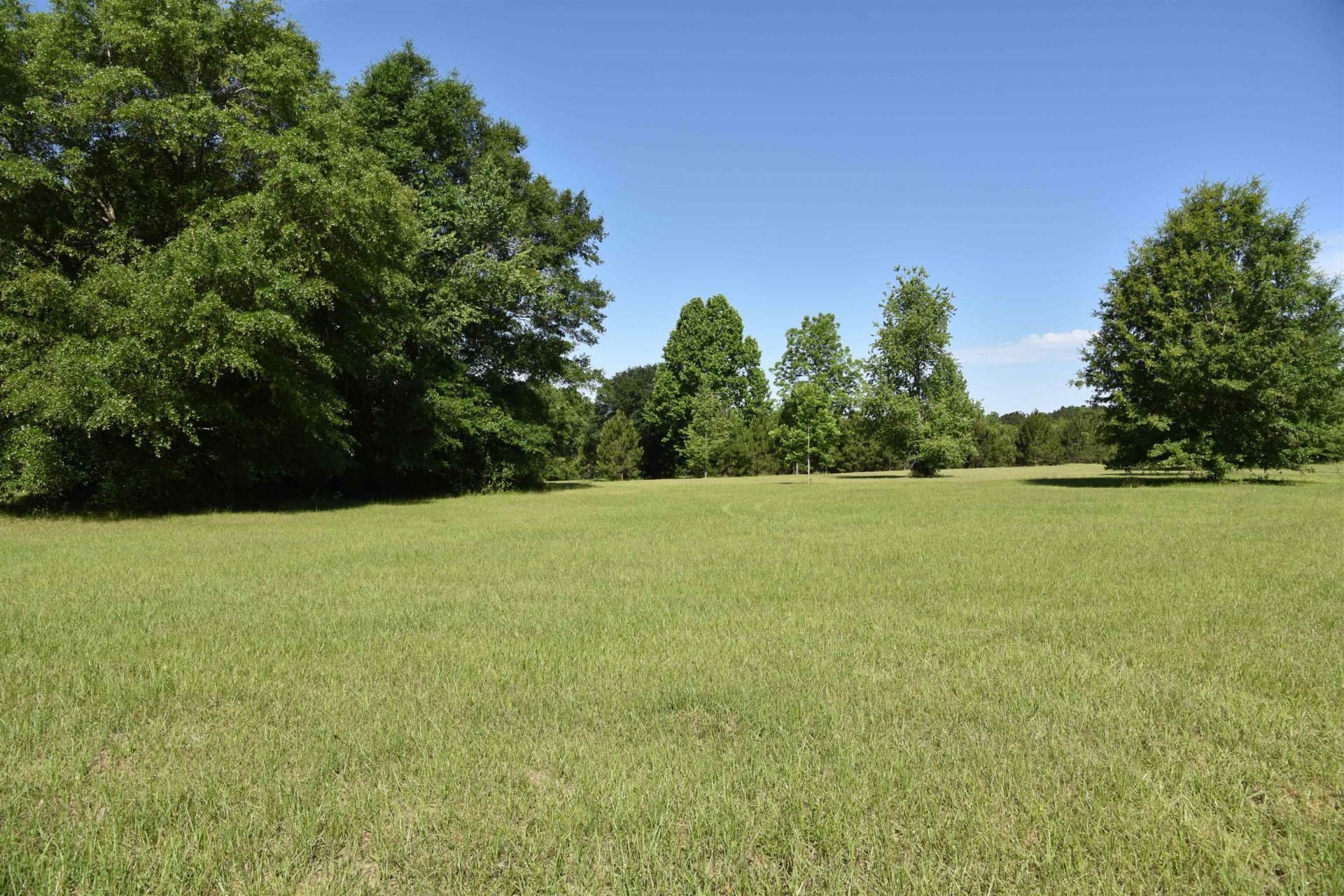 Solomon Dairy Road , Quincy, FL 32352 Photo