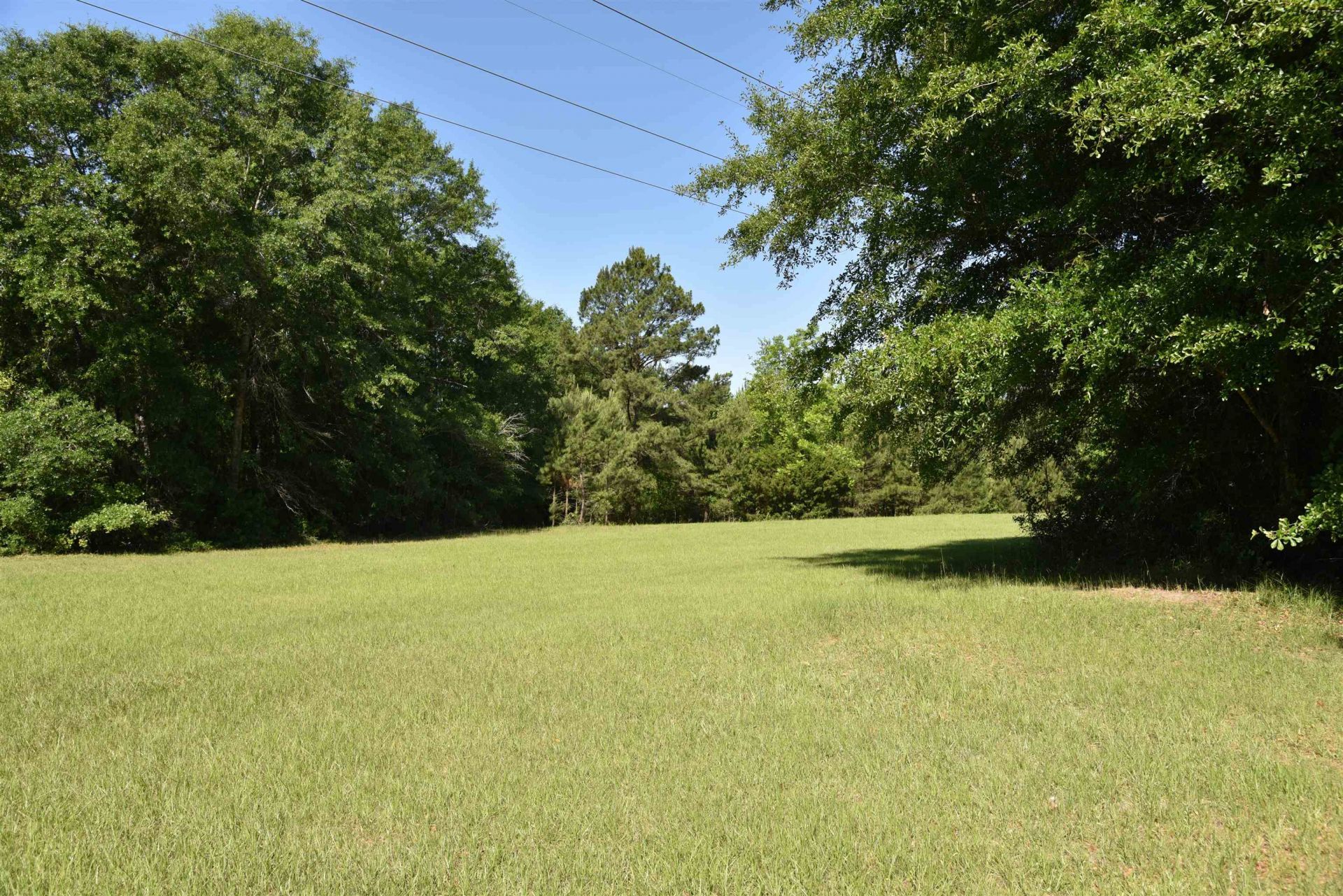 Solomon Dairy Road , Quincy, FL 32352 Photo