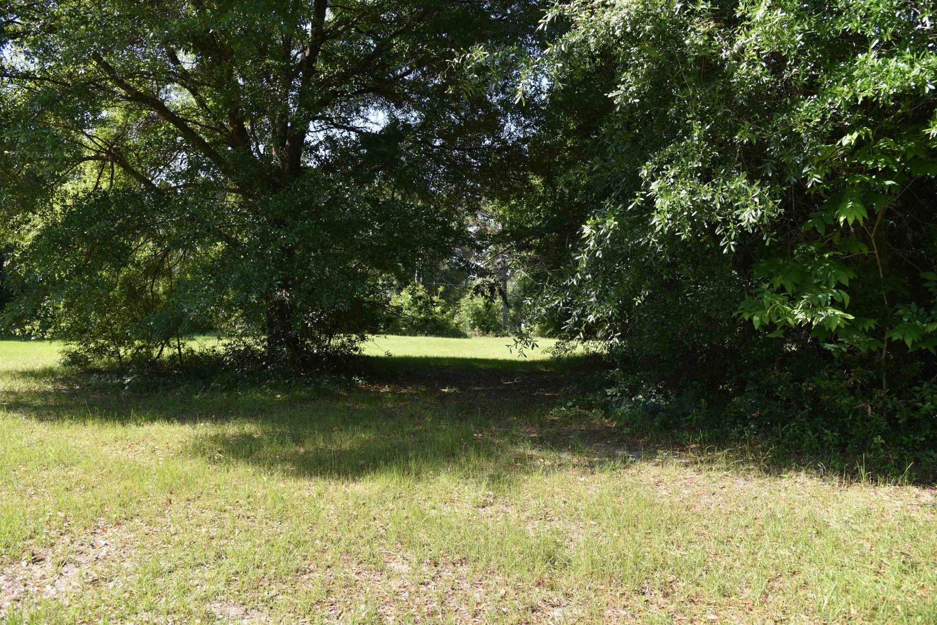 Solomon Dairy Road , Quincy, FL 32352 Photo