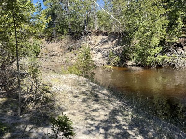 22.70 AC S River Lane, Ocqueoc, MI 49759