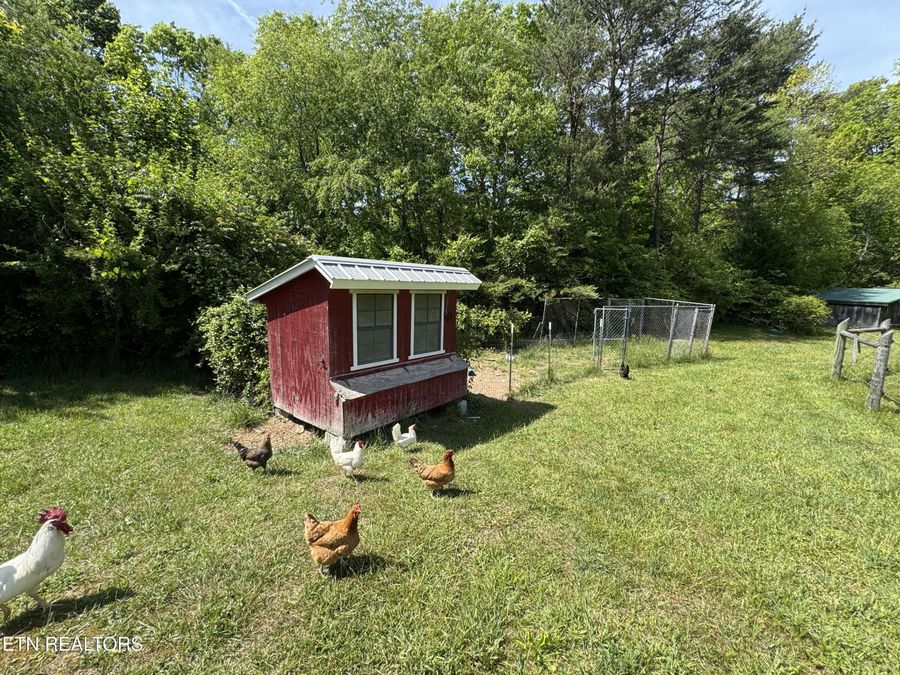 Property Image 33