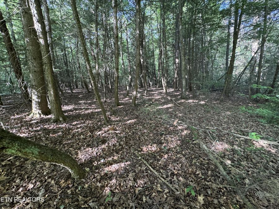 Property Image 56