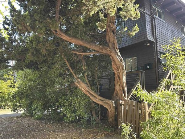 2638 Warring St, Unit A, Berkeley, CA 94704