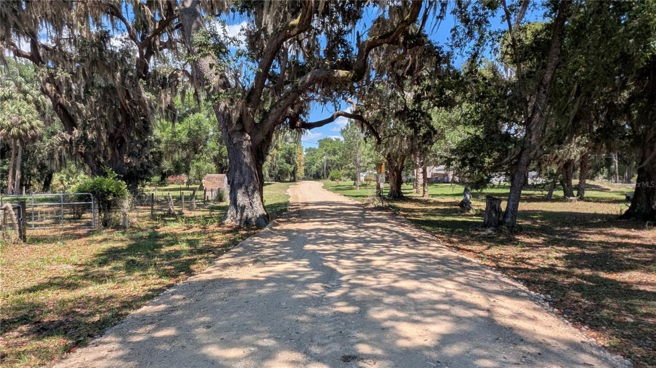 11291 SE 202nd Lane , Inglis, FL 34449 Photo