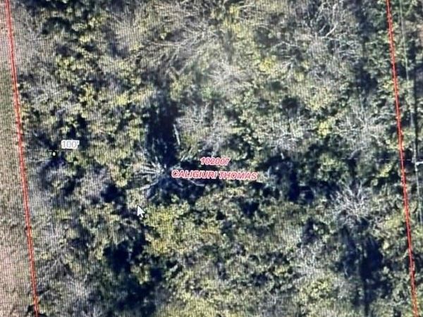 TBD LOT 121-122 Richard Drive, Gordonville, TX 76245