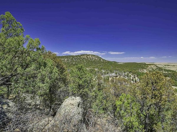 TBD Rikki Rowdy Place, Aguilar, CO 81020