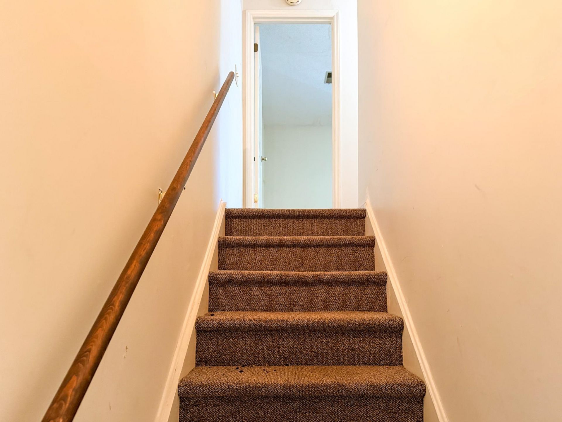 309 Tradd St.  Photo 12