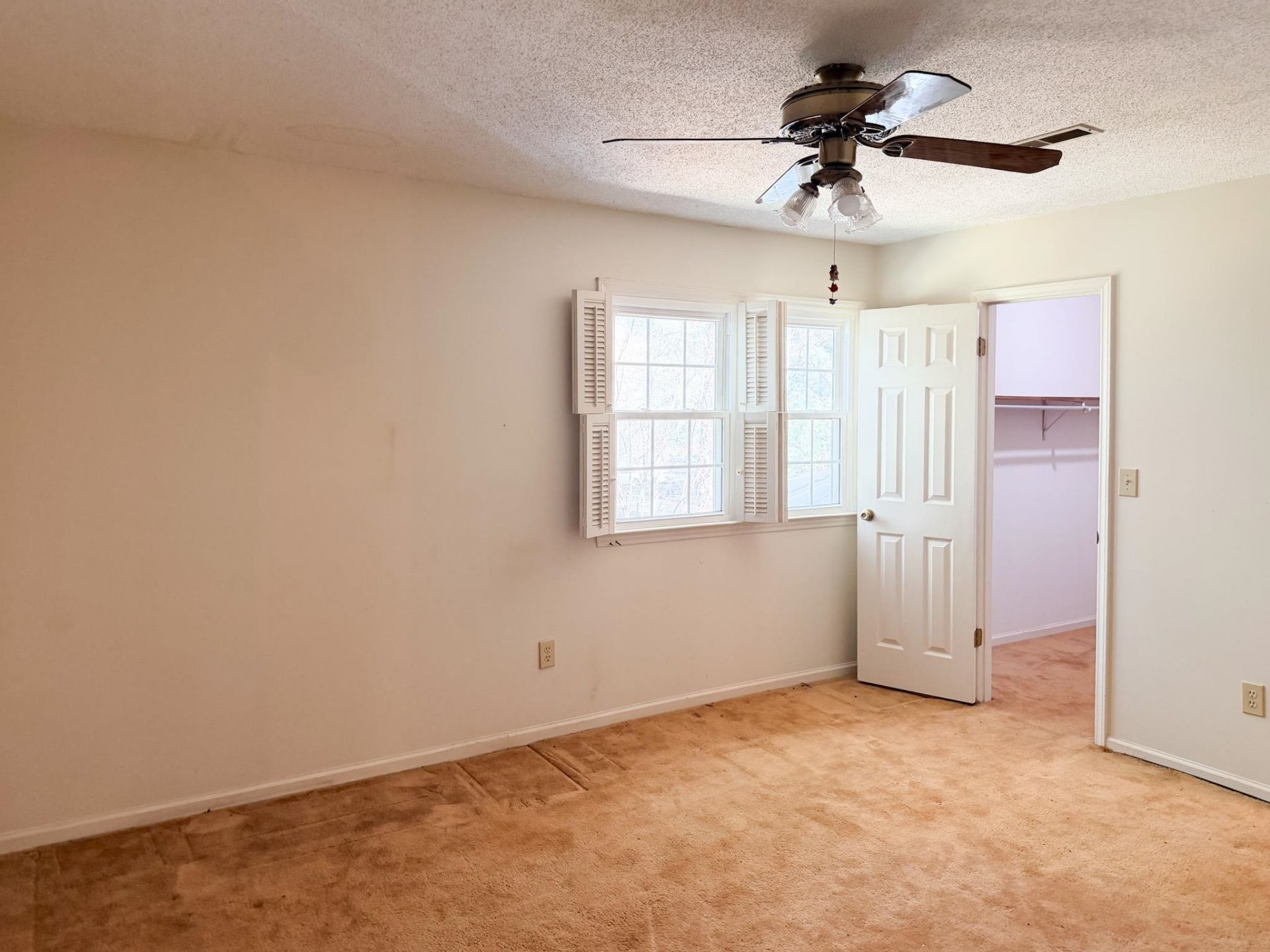 309 Tradd St.  Photo 14