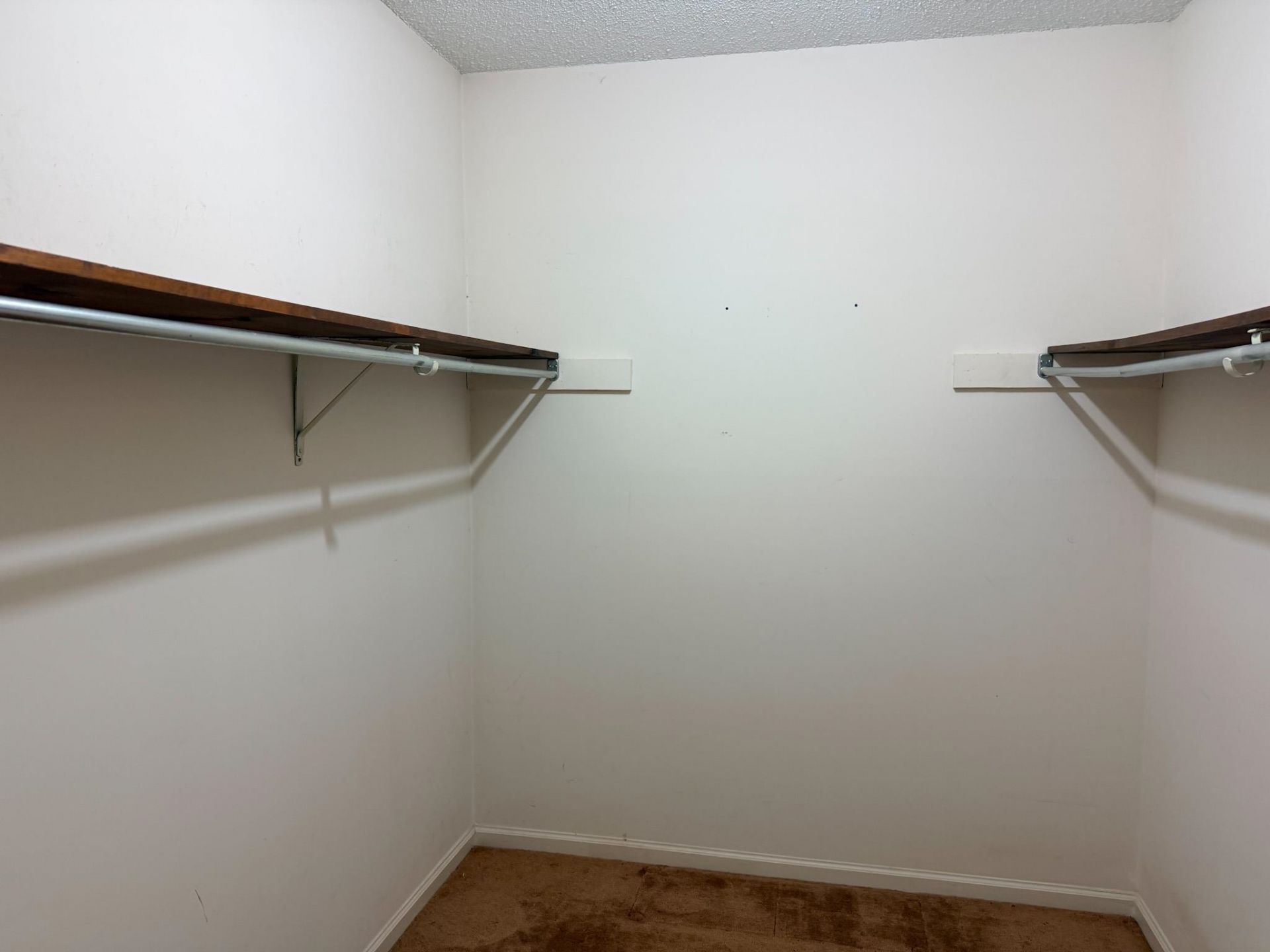 309 Tradd St.  Photo 17