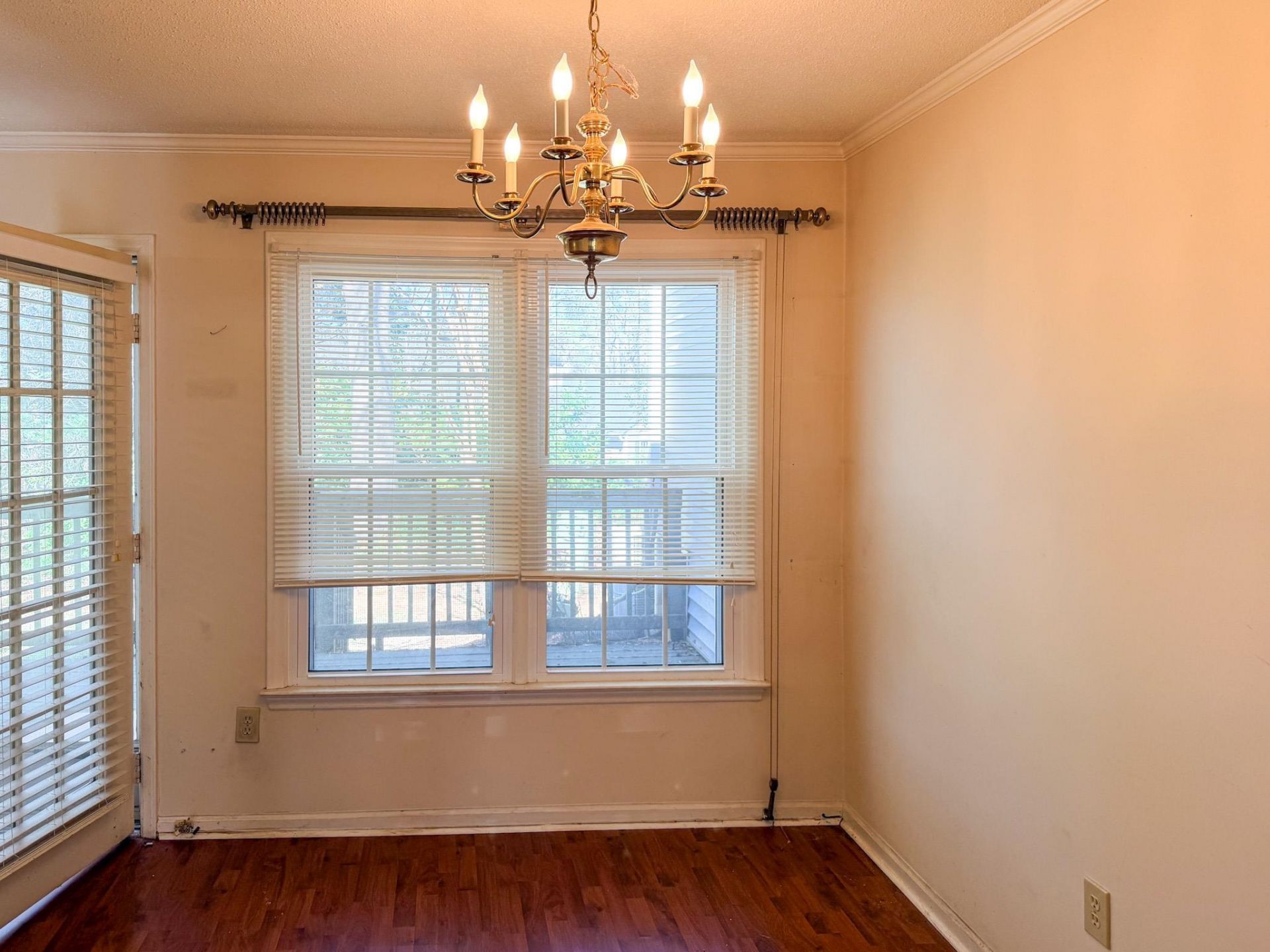 309 Tradd St.  Photo 5
