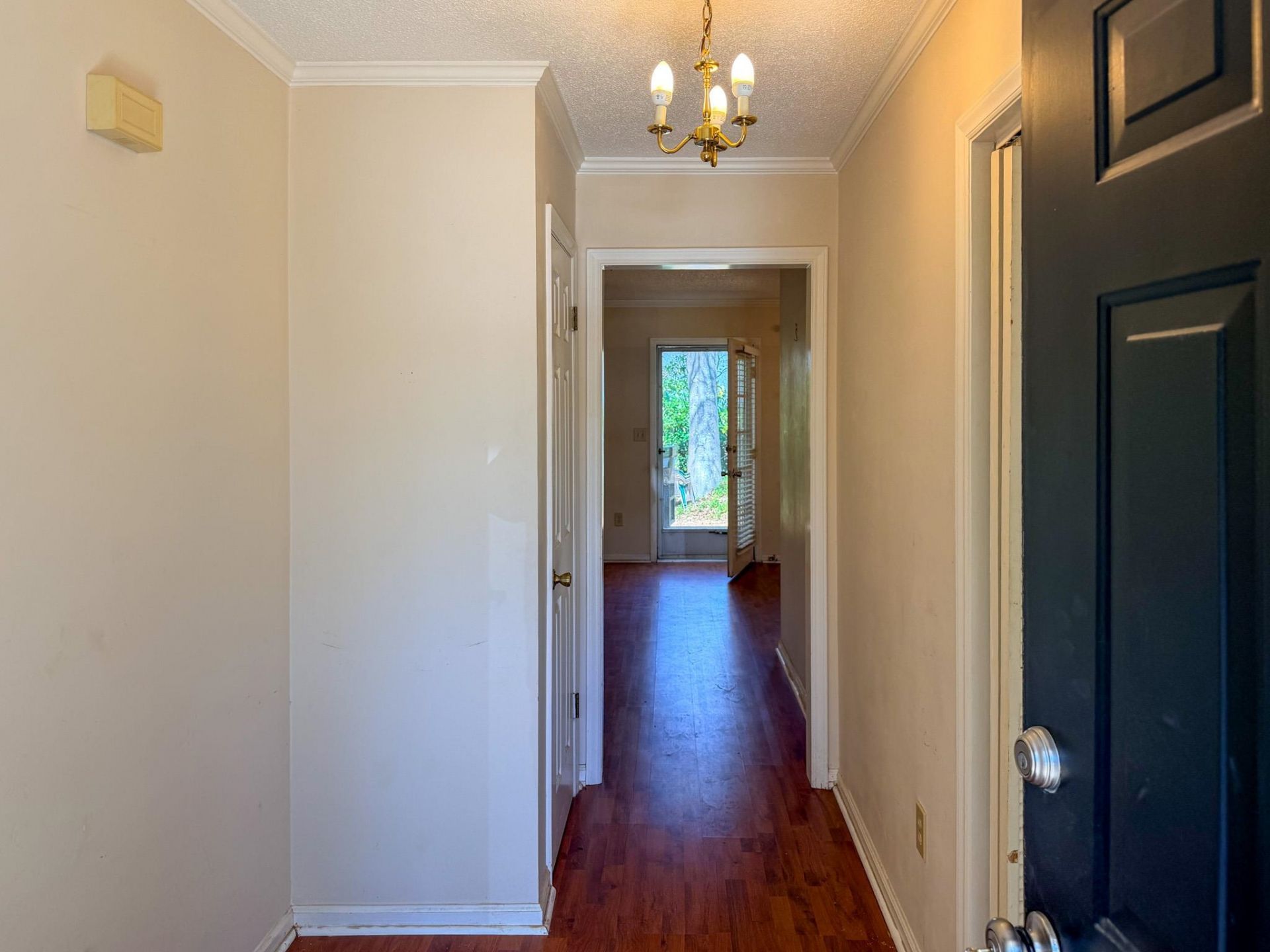 309 Tradd St.  Photo 8