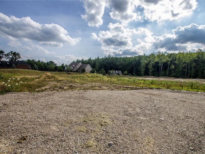 3602 Nagel Road, Avon, OH 44011 Photo 3