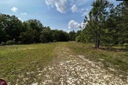 410 Boy Scout Road Road  photo 4