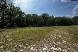 410 Boy Scout Road Road  photo 4