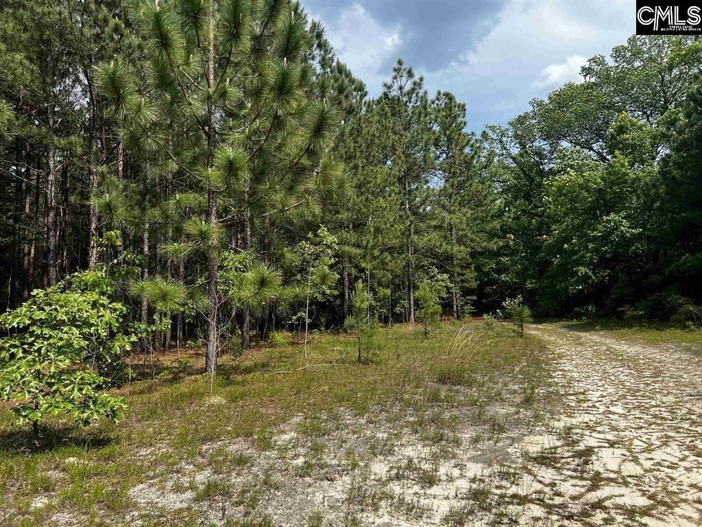 410 Boy Scout Road Road  Photo 4