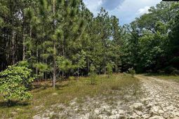 410 Boy Scout Road Road  photo 4