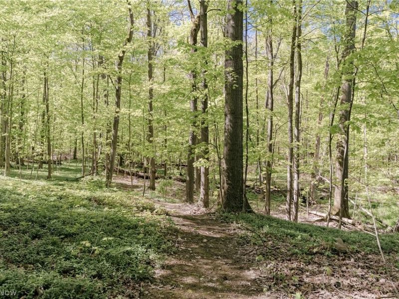 33475 Miles Road, Moreland Hills, OH 44022 Photo 46