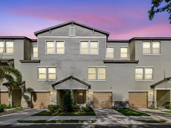 4436 TUSCAN LOON DRIVE, TAMPA, FL 33619