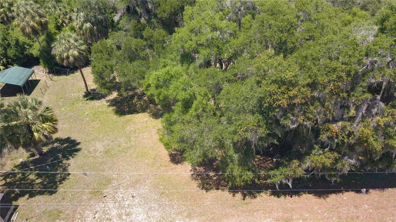 11333 SE 202nd Lane, Inglis, FL 34449 Photo