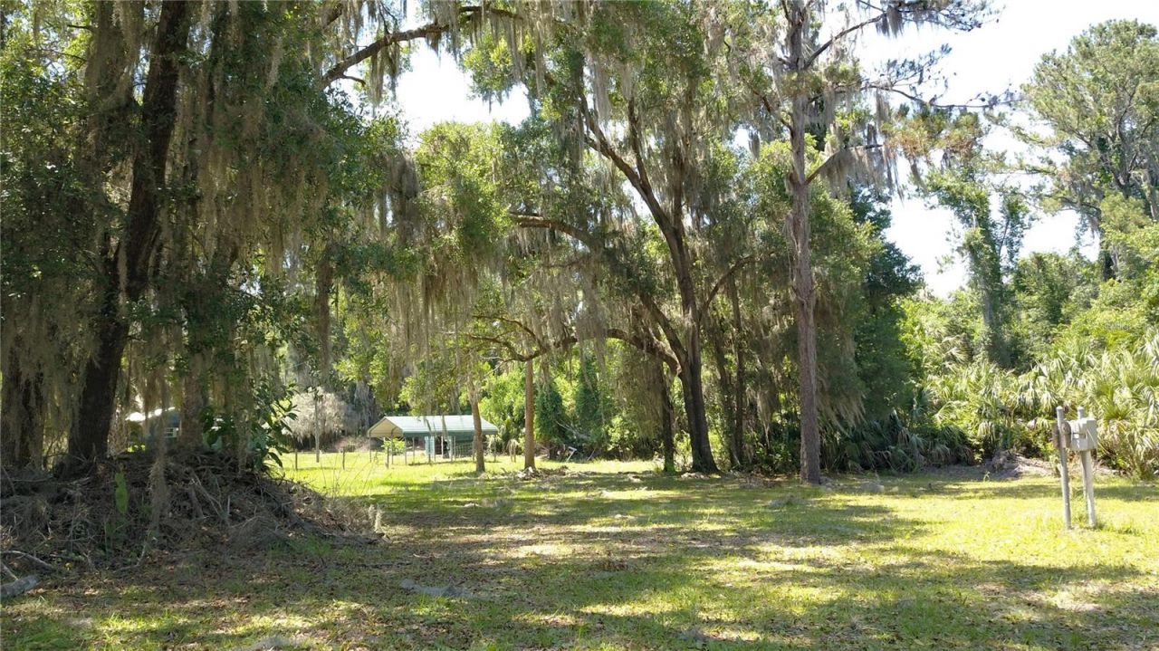 11333 SE 202nd Lane, Inglis, FL 34449 Photo