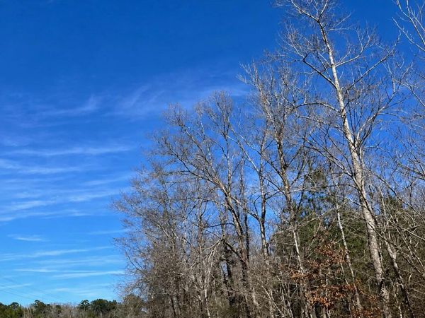 0 Star Road, Florence, MS 39073