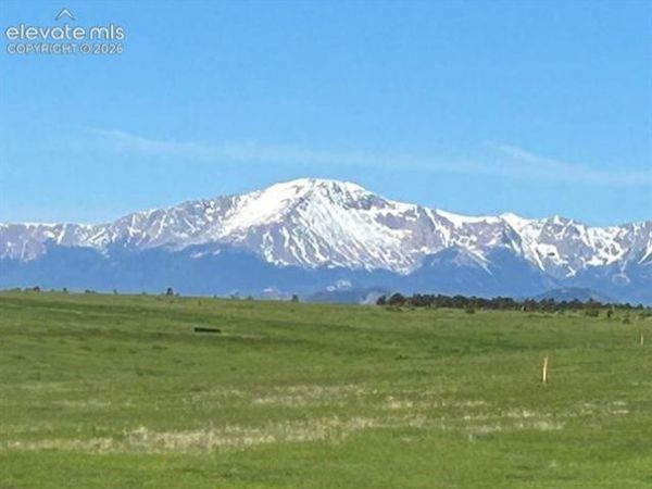 19215 Mariah Trail, Colorado Springs, CO 80908