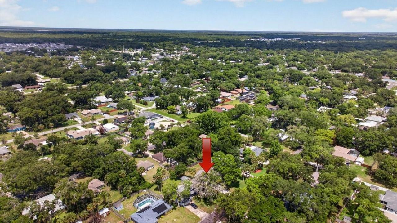 2012 Mango Tree Drive , Edgewater, FL 32141 Photo