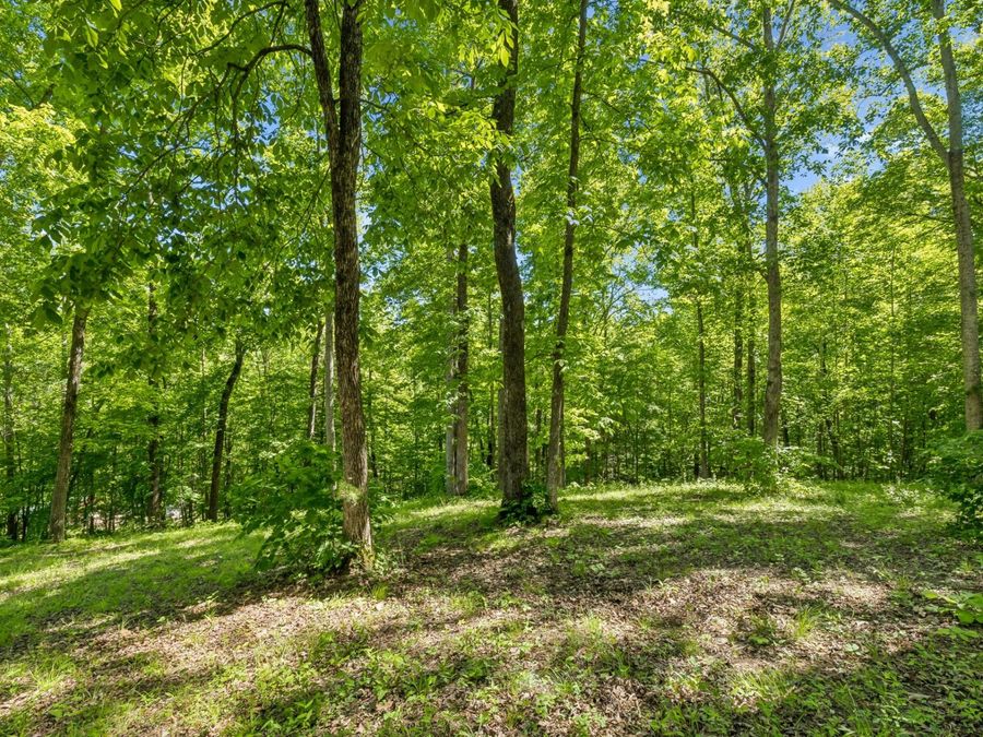 Property Image 61