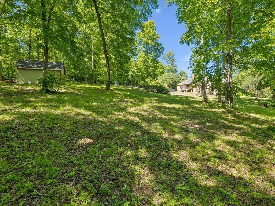 Property Image 62