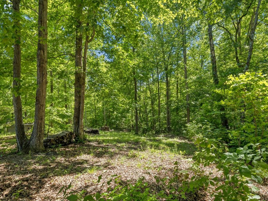 Property Image 68