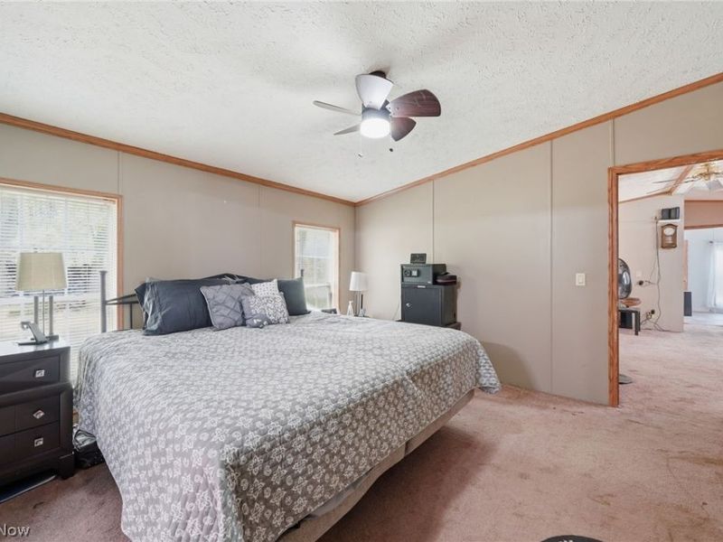 4613 N Lake Road, West Farmington, OH 44491 Photo 25