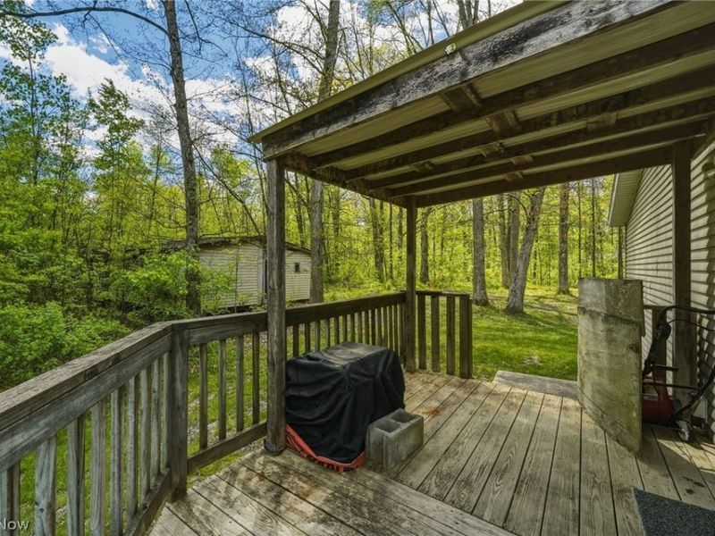 4613 N Lake Road, West Farmington, OH 44491 Photo 34