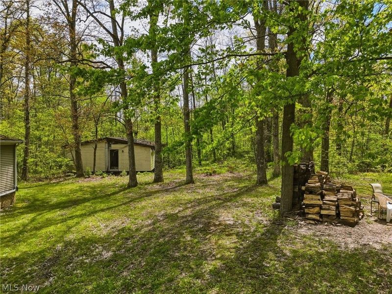 4613 N Lake Road, West Farmington, OH 44491 Photo 36