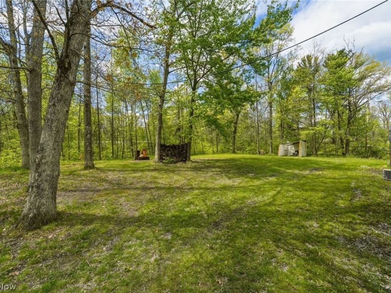 4613 N Lake Road, West Farmington, OH 44491 Photo 37