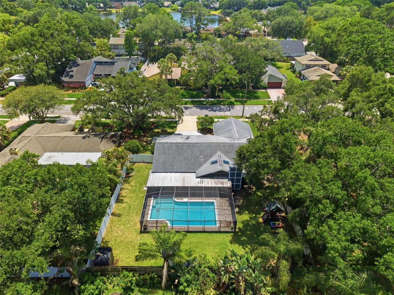 4221 Water Oaks Lane, Tampa, FL 33618 Photo
