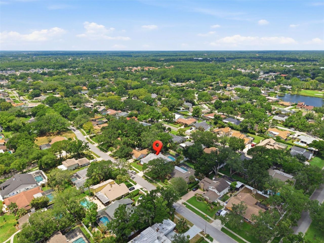 4221 Water Oaks Lane, Tampa, FL 33618 Photo