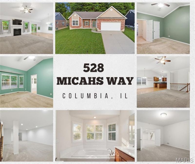 528 Micahs Way, Columbia, IL 62236 Main Photo